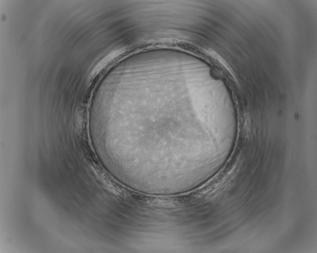 X0000087740874200705211010