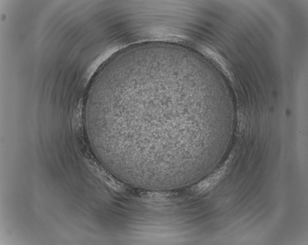 X0000087740875200705211010