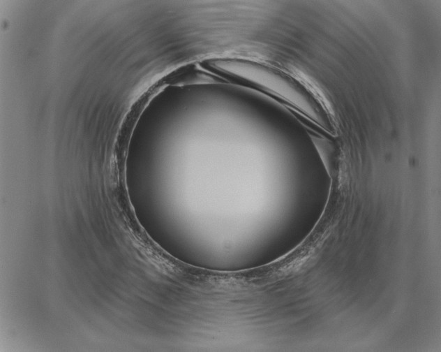 X0000087740876200705211010