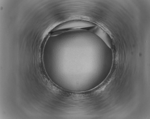 X0000087740877200705211010