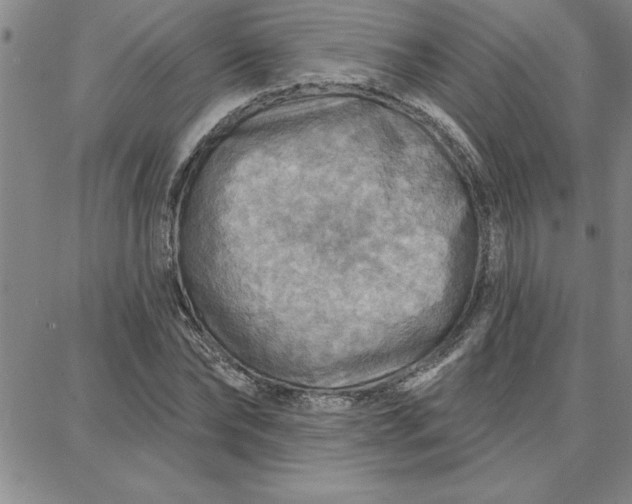 X0000087740878200705211010