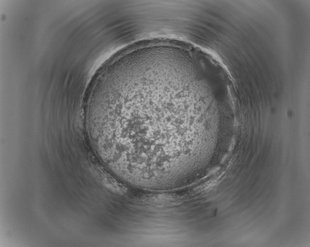 X0000087740879200705211010