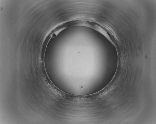 X0000087740880200705211010