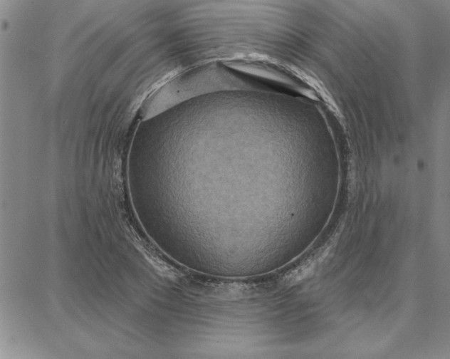 X0000087740881200705211010