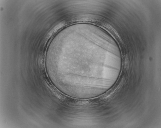 X0000087740882200705211010