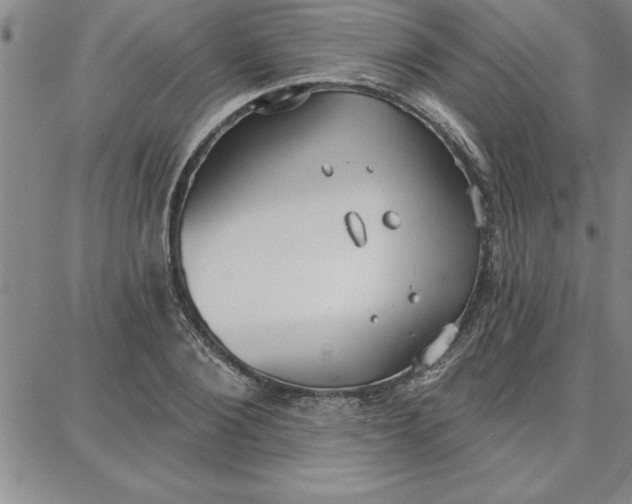 X0000087740884200705211009