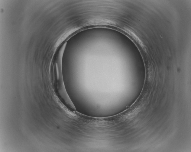 X0000087740885200705211009