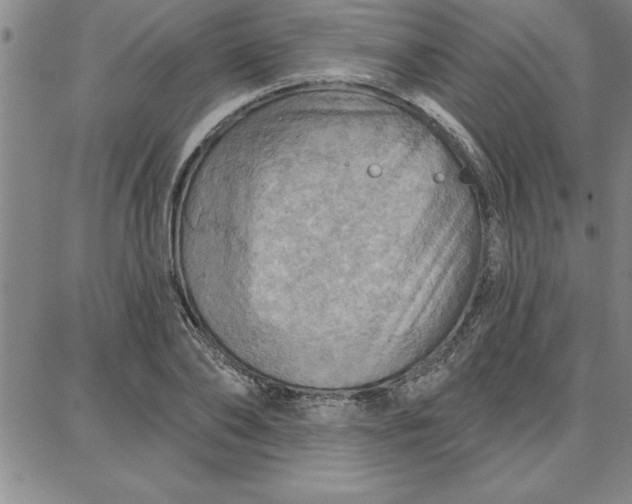 X0000087740886200705211009