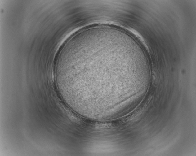 X0000087740887200705211009