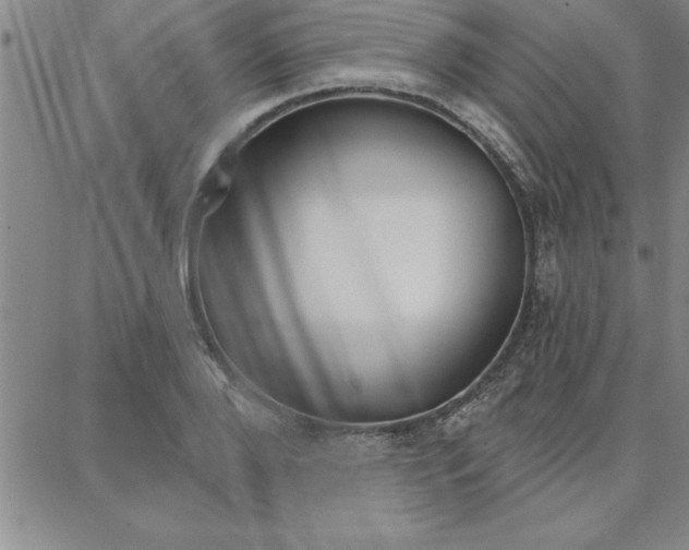 X0000087740888200705211009