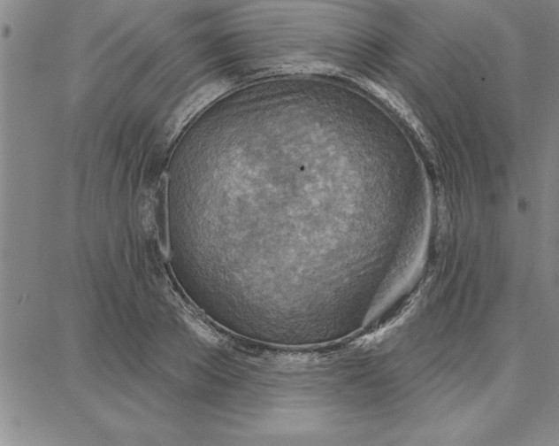 X0000087740889200705211009