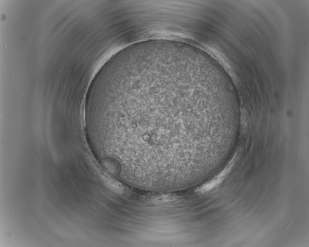 X0000087740891200705211009