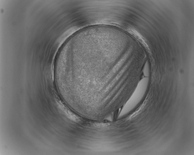 X0000087740892200705211009