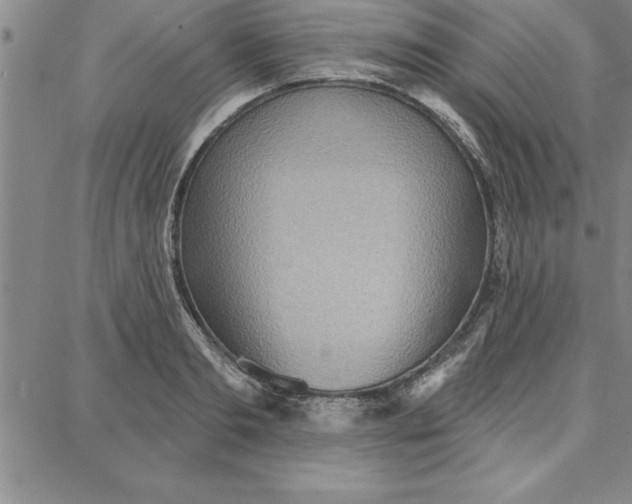 X0000087740893200705211009