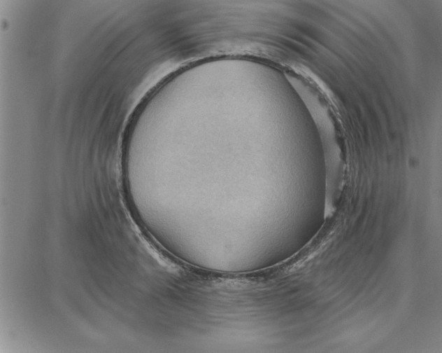 X0000087740894200705211009