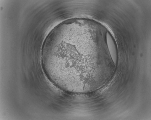 X0000087740895200705211009