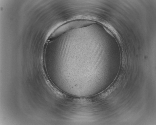 X0000087740896200705211009