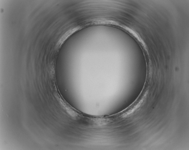 X0000087740897200705211009