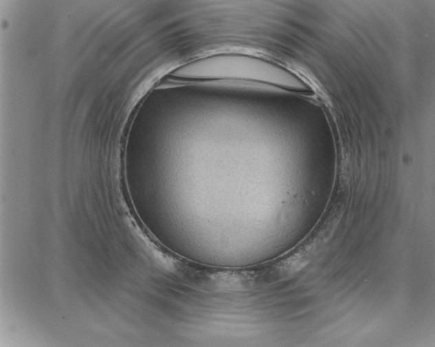 X0000087740898200705211009