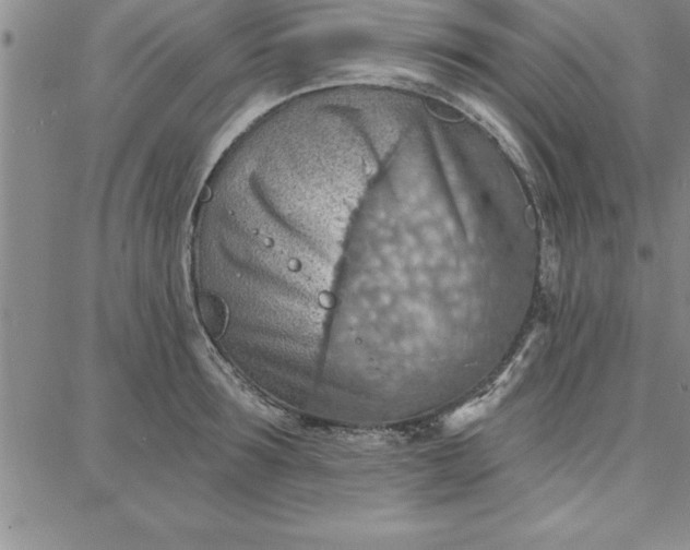 X0000087740899200705211009