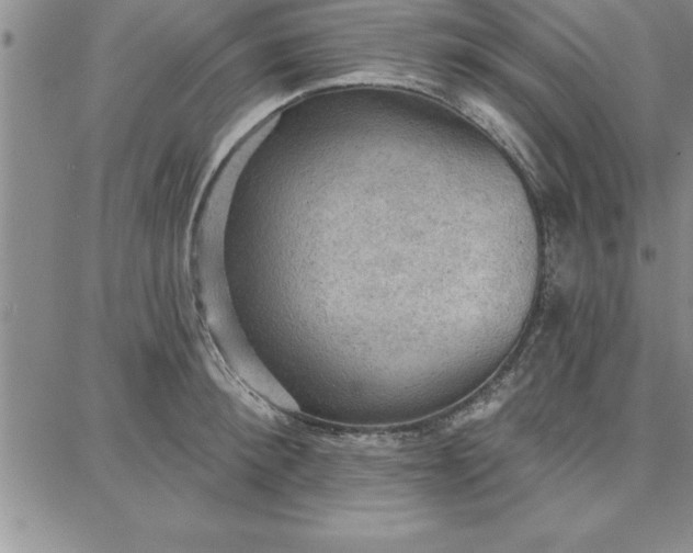 X0000087740900200705211009