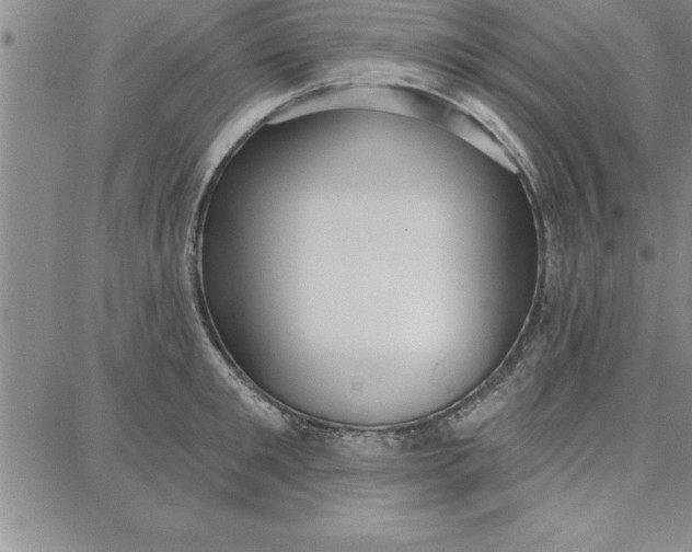 X0000087740901200705211009