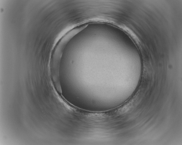 X0000087740902200705211009