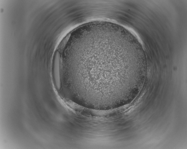 X0000087740903200705211009