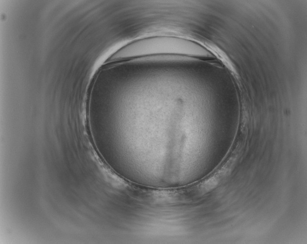 X0000087740904200705211009