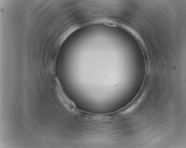 X0000087740905200705211009