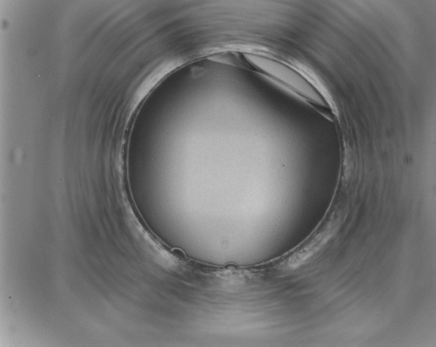 X0000087740906200705211009