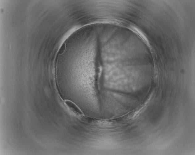 X0000087740907200705211009