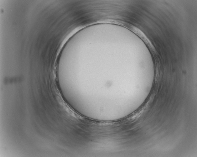 X0000087740908200705211009