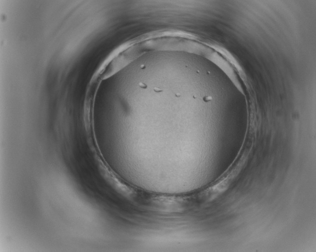 X0000087740910200705211009