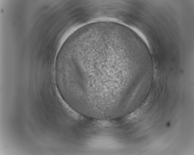 X0000087740911200705211009