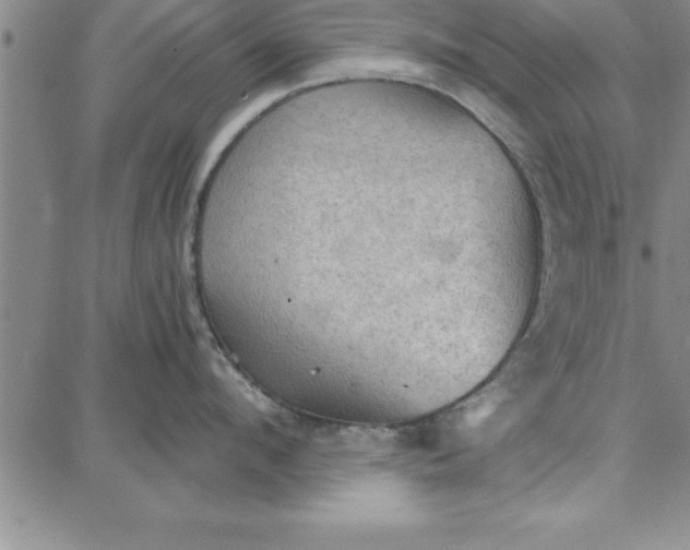 X0000087740912200705211009