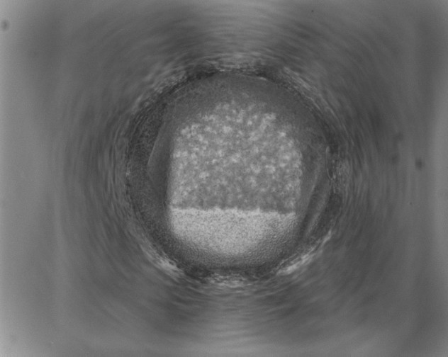 X0000087740913200705211008