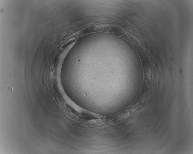 X0000087740914200705211008