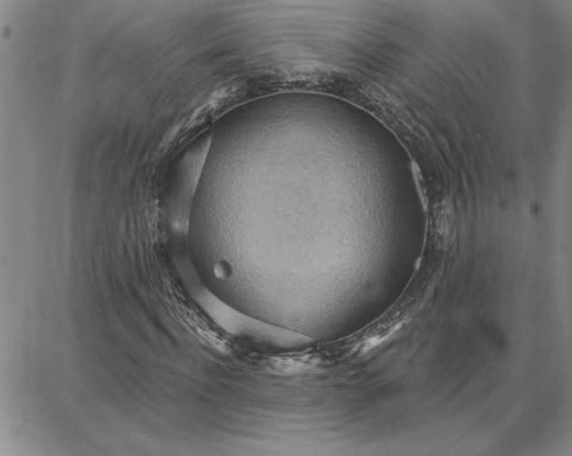 X0000087740916200705211008