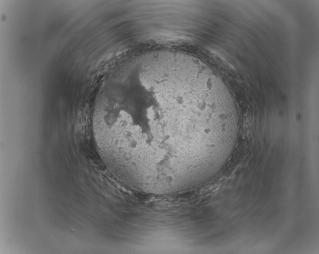 X0000087740917200705211008