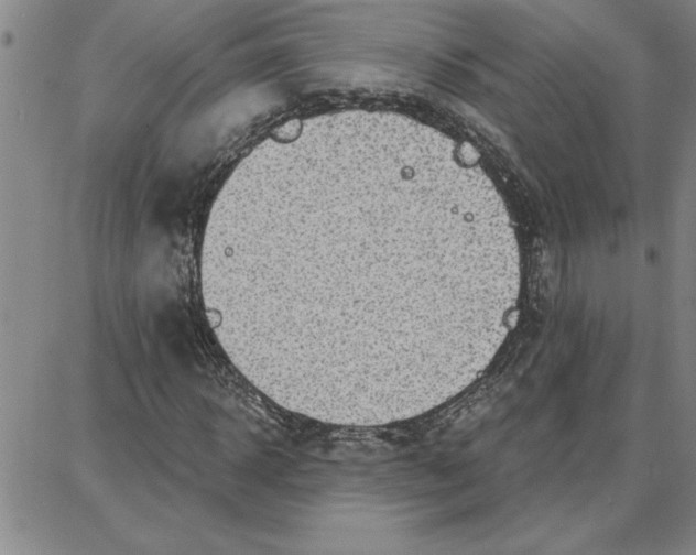 X0000087740918200705211008