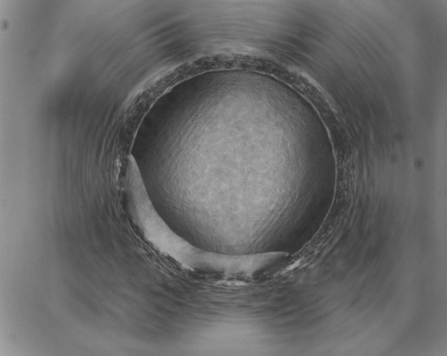 X0000087740919200705211008