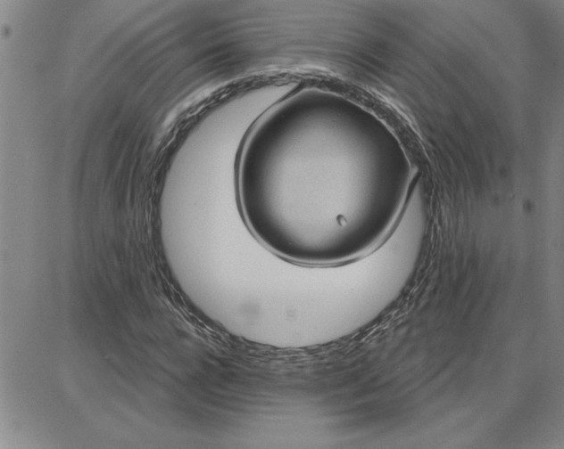 X0000087740920200705211008