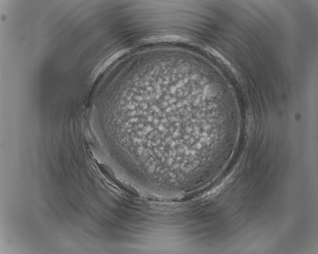 X0000087740921200705211008