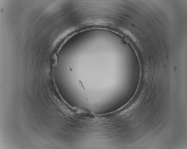 X0000087740922200705211008