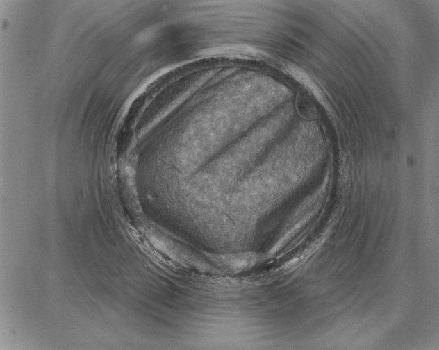 X0000087740923200705211008