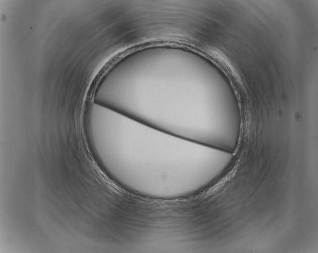 X0000087740924200705211008