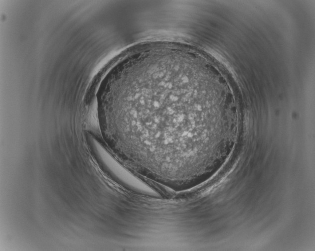 X0000087740925200705211008