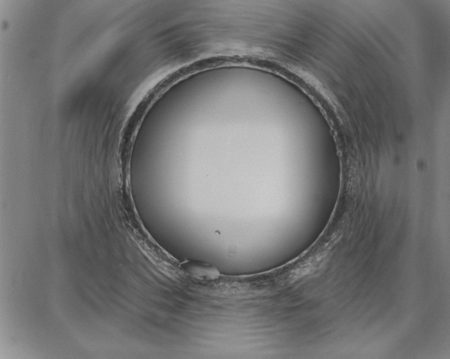 X0000087740927200705211008