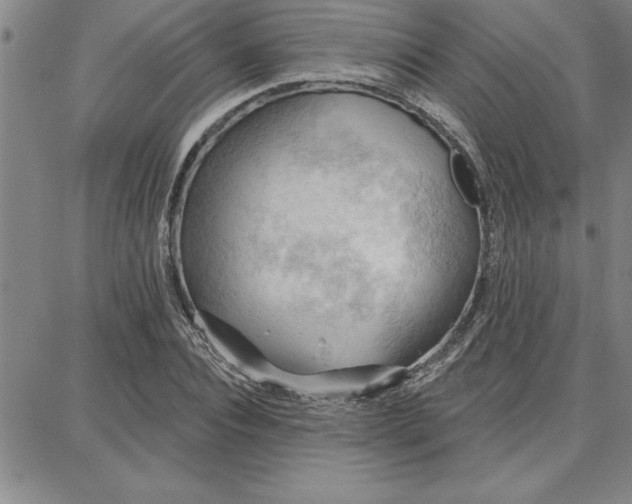 X0000087740928200705211009